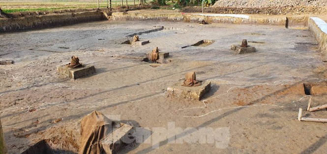 Người dân đổ xô đi xem bãi cọc nghìn năm tuổi ở Hải Phòng - ảnh 2
