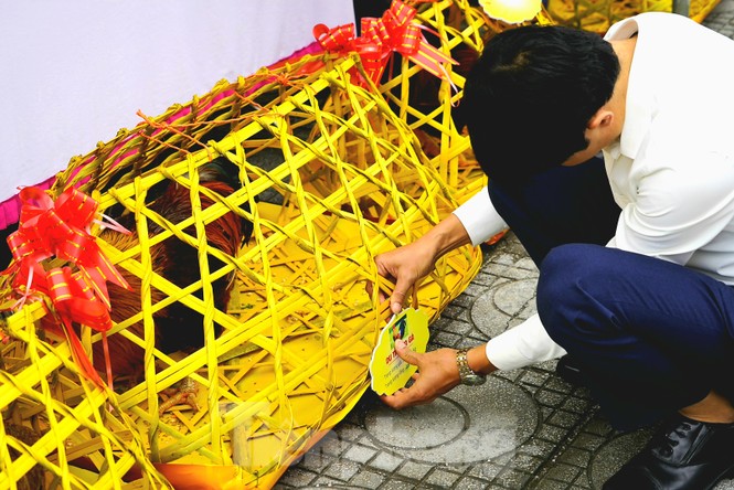 Độc đáo cuộc thi