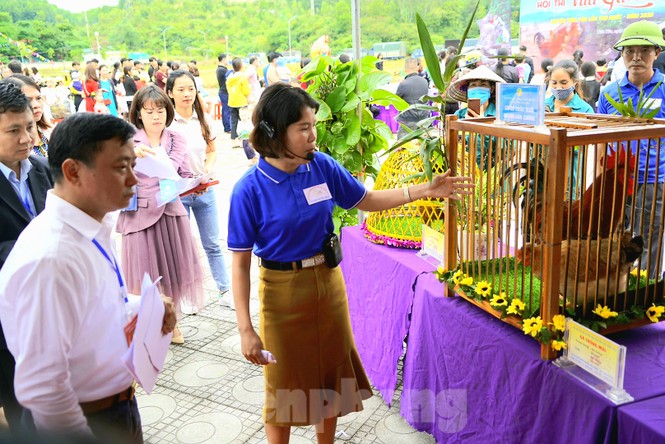 Độc đáo cuộc thi
