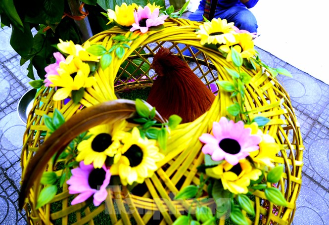 Độc đáo cuộc thi