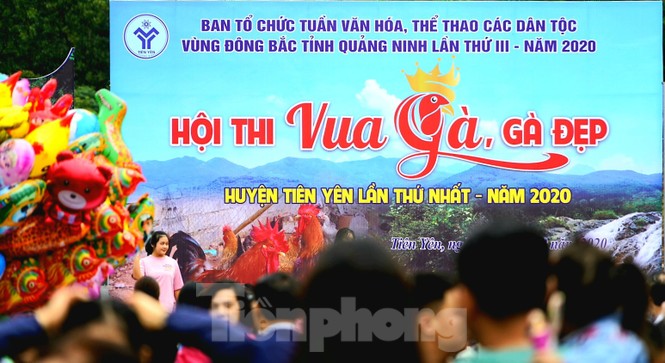 Độc đáo cuộc thi