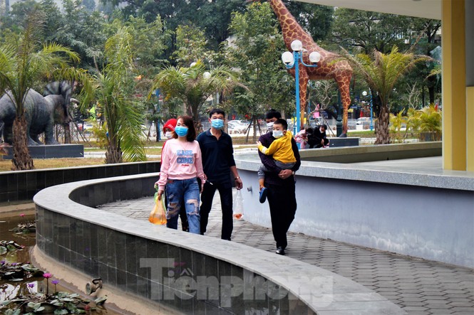 Hạ Long: cá chép tăng giá, dân dùng cá giấy tiễn ông Táo về trời - ảnh 5