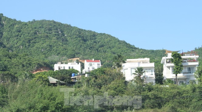 Nha Trang dừng thi công khu biệt thự trên núi Cô Tiên - ảnh 1