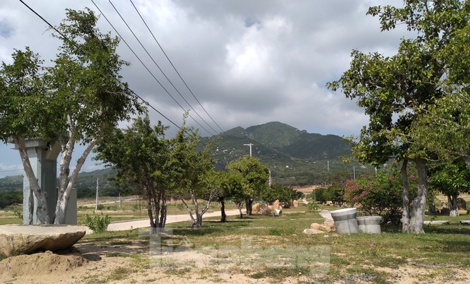 Khánh Hoà: Khu dân cư hơn 34ha được xây dựng không phép - ảnh 3