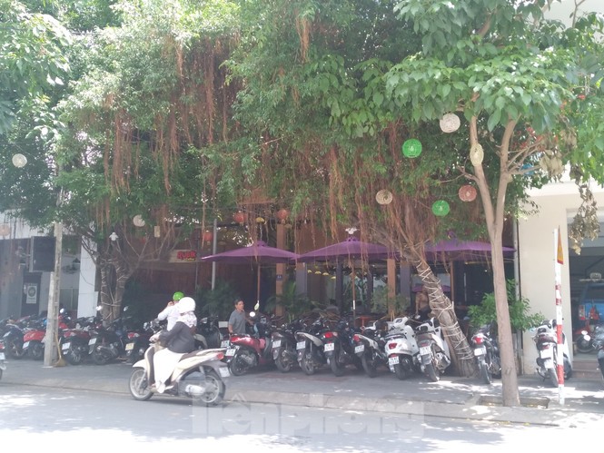 Cận cảnh các dự án giao đất công, “đất vàng” sai phạm tại Khánh Hoà - ảnh 4