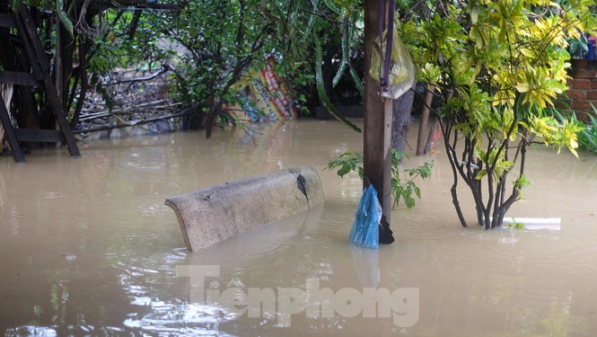Nhiều đường phố Nha Trang vẫn ngập chìm trong nước - ảnh 7