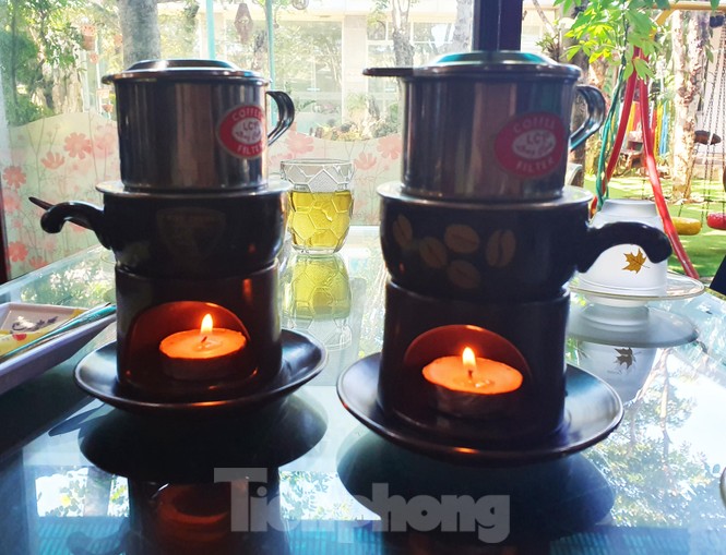 Đến chơi với đàn rùa Voi Vàng được yêu chiều hiếm thấy - ảnh 5