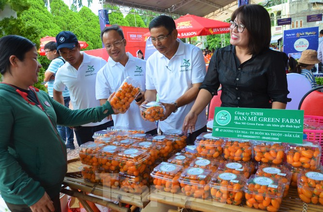 Đắk Lắk: Nông dân và trí thức cùng hào hứng khởi nghiệp - ảnh 3