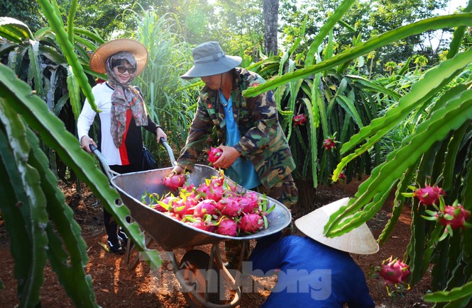 Tây Nguyên: Người dân góp quà động viên tuyến đầu phòng chống COVID-19 - ảnh 6
