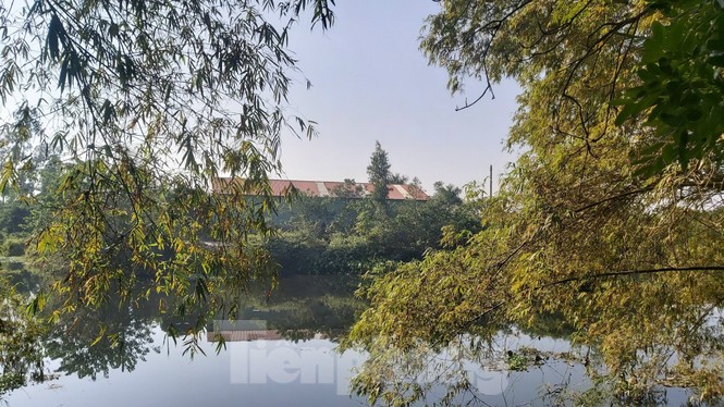 Ghê sợ dòng kênh đen ngòm, sủi bọt đổ ra sông lớn ở Bắc Ninh - ảnh 5