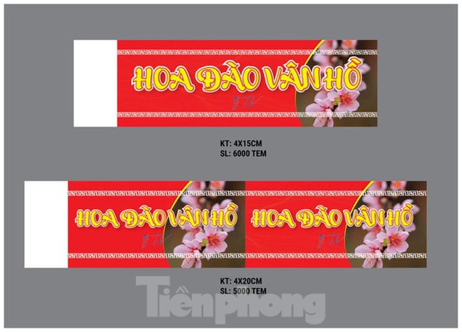 Tem dán cho đào về xuôi của thủ phủ đào rừng Tây Bắc được thiết kế ra sao? - ảnh 1