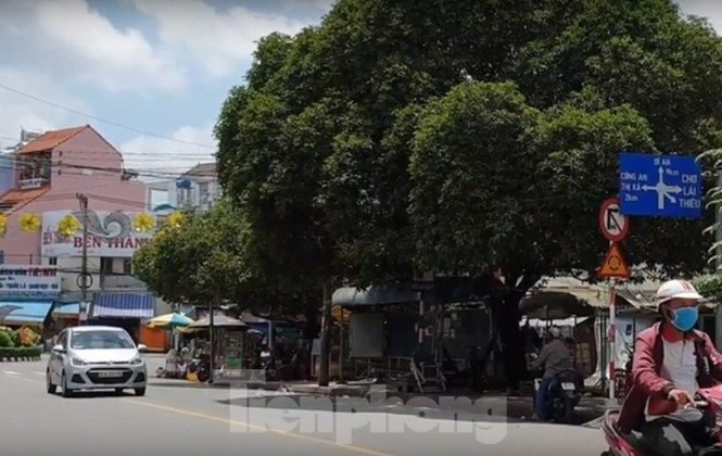 Bình Dương: Ngừng xây trạm ép rác trên đất công viên - ảnh 2