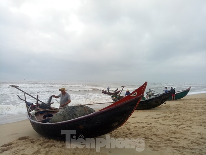 Ngư dân vượt sóng dữ kiếm ‘lộc trời’ ngày cuối năm - ảnh 2