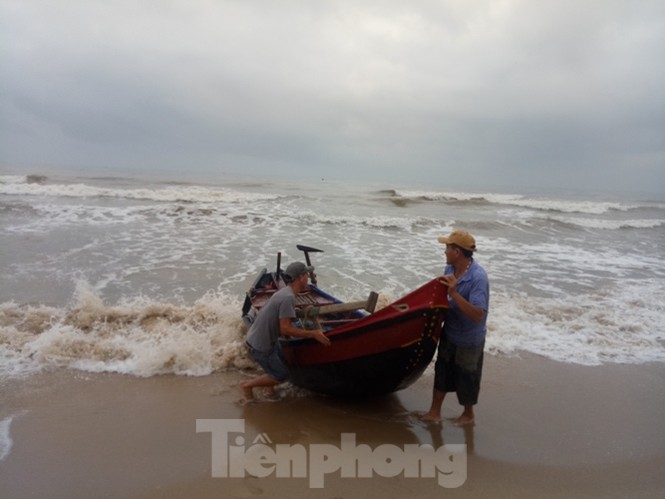 Ngư dân vượt sóng dữ kiếm ‘lộc trời’ ngày cuối năm - ảnh 3
