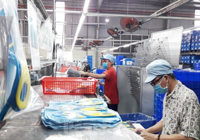 Bình Dương làm gi để giúp DN vượt khó thời dịch COVID-19 - ảnh 2