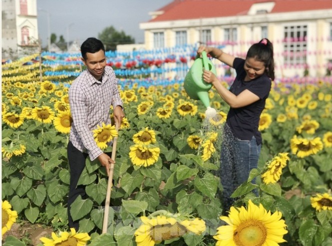 Kỹ sư 9X rời phố thị về nông thôn làm nông trại đẹp như ‘thiên đường’ - ảnh 1