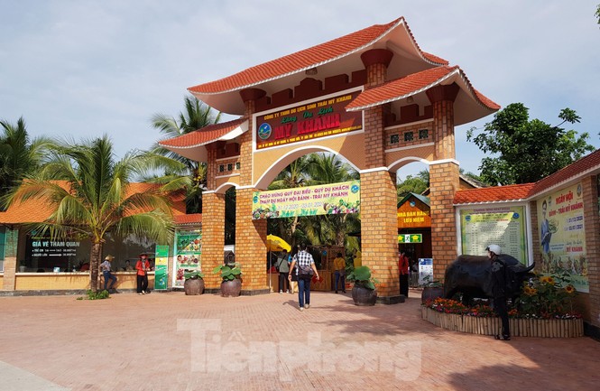 Tây Đô thưa vắng ngày đầu năm - ảnh 16