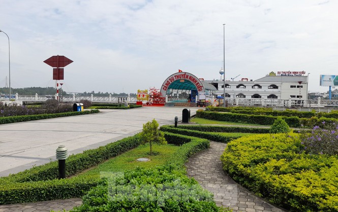 Tây Đô thưa vắng ngày đầu năm - ảnh 8
