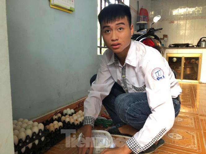 Trao học bổng tài năng cho thủ khoa khối A 'đạp xe giao trứng vịt' - ảnh 6