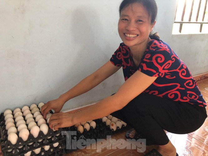 Trao học bổng tài năng cho thủ khoa khối A 'đạp xe giao trứng vịt' - ảnh 5