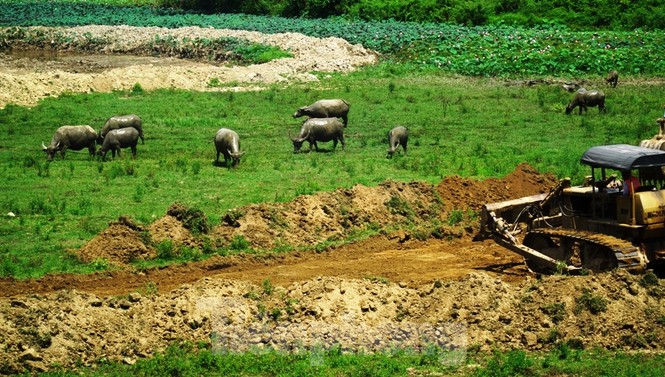 ‘Rùa bò’ tại đại dự án 100 tỷ xây quảng trường, công viên cây xanh lớn nhất TT-Huế - ảnh 1