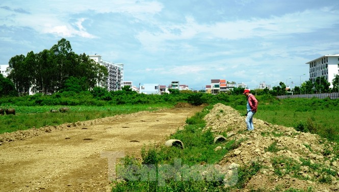 ‘Rùa bò’ tại đại dự án 100 tỷ xây quảng trường, công viên cây xanh lớn nhất TT-Huế - ảnh 4