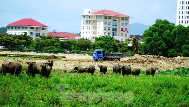 ‘Rùa bò’ tại đại dự án 100 tỷ xây quảng trường, công viên cây xanh lớn nhất TT-Huế - ảnh 10