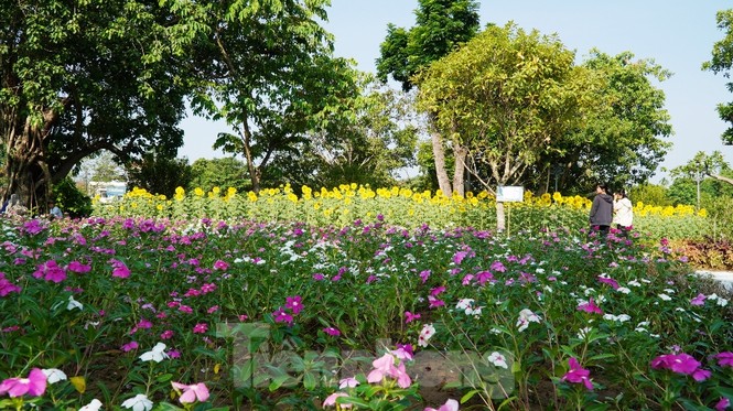 Huế mở cửa chốn 'bồng lai tiên cảnh' cho khách tham quan miễn phí - ảnh 11