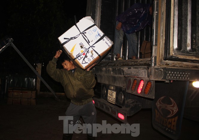 Nhọc nhằn mưu sinh trong giá lạnh ở chợ hoa lớn nhất Thủ đô - ảnh 11