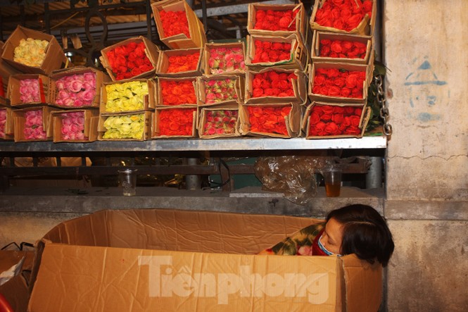 Nhọc nhằn mưu sinh trong giá lạnh ở chợ hoa lớn nhất Thủ đô - ảnh 13