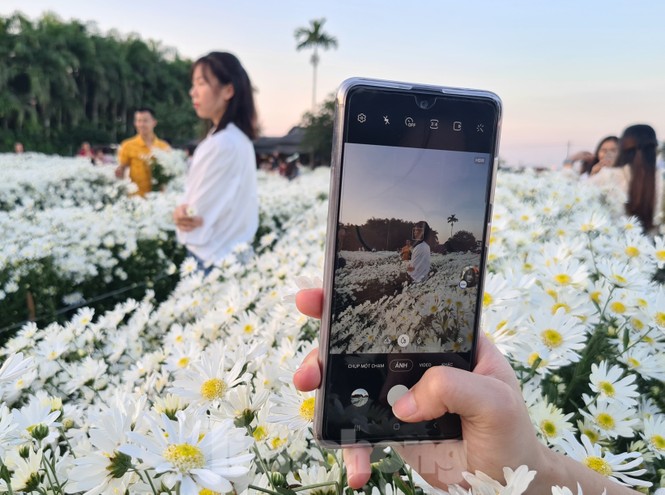 Nhà vườn ở Hải Phòng bội thu nhờ dịch vụ “check-in” cùng cúc họa mi - ảnh 10