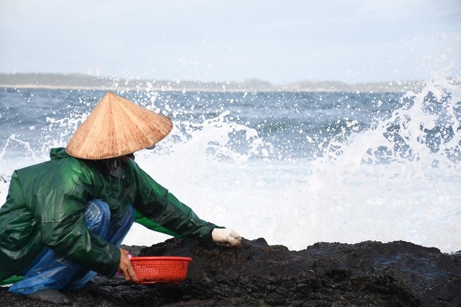  Người dân Quảng Ngãi đội sóng đi hái “lộc biển” - ảnh 1