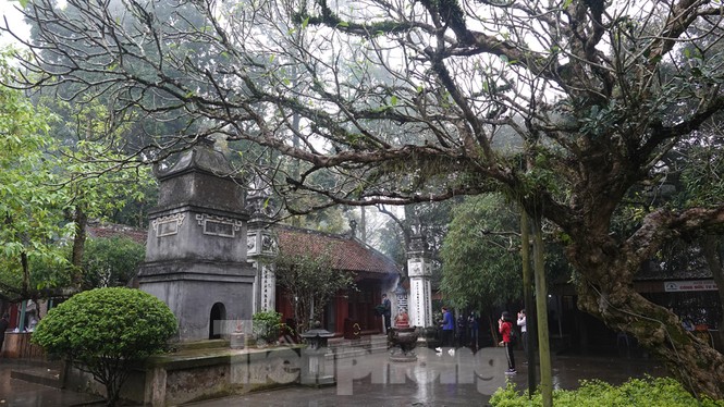 Lễ giỗ Tổ Hùng Vương được tổ chức rút gọn, tránh đông người vì đại dịch - ảnh 6