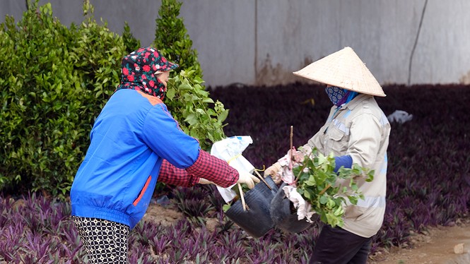 Nút giao Vành đai 3 với cao tốc Hà Nội - Hải Phòng trước ngày thông xe - ảnh 8