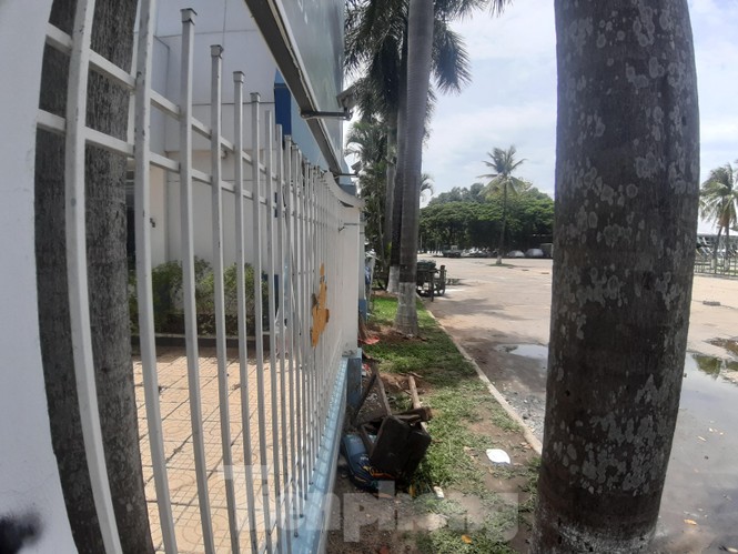 Đà Nẵng tính trả tiền để chuộc lại đất công viên 29/3 đã bán cho doanh nghiệp - ảnh 5