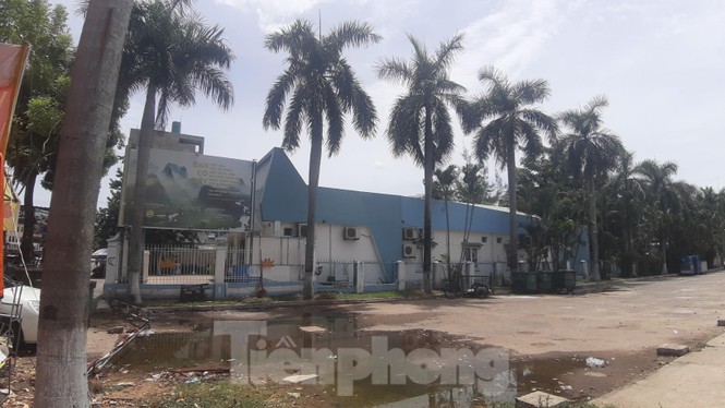 Đà Nẵng tính trả tiền để chuộc lại đất công viên 29/3 đã bán cho doanh nghiệp - ảnh 6