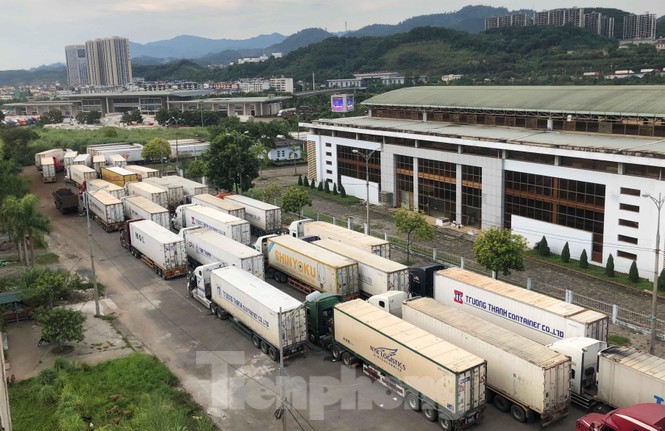 500 xe container thanh long ùn ứ tại cửa khẩu Lào Cai - ảnh 2