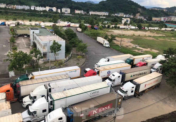 500 xe container thanh long ùn ứ tại cửa khẩu Lào Cai - ảnh 3