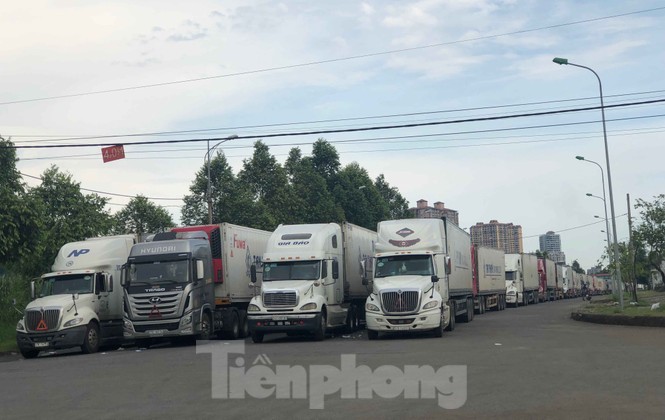 Trung Quốc dùng máy soi hàng, hàng trăm xe container Thanh Long ùn ứ ở cửa khẩu - ảnh 4
