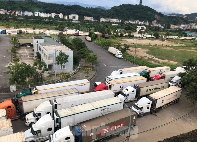 Trung Quốc dùng máy soi hàng, hàng trăm xe container Thanh Long ùn ứ ở cửa khẩu - ảnh 7