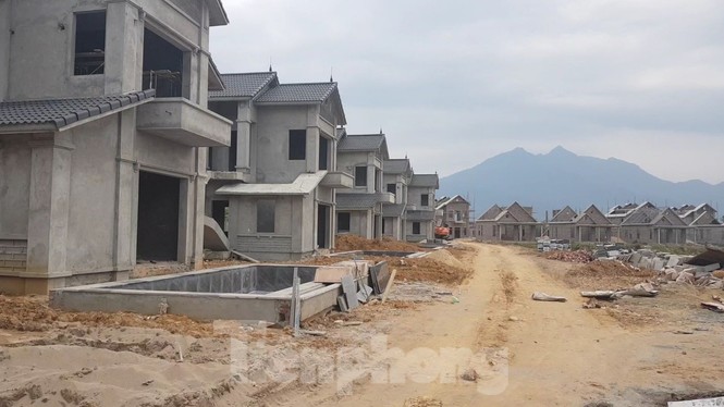Vì sao các đoàn thanh tra kết luận 'vênh' nhau tại dự án nghìn tỷ Vườn Vua? - ảnh 3
