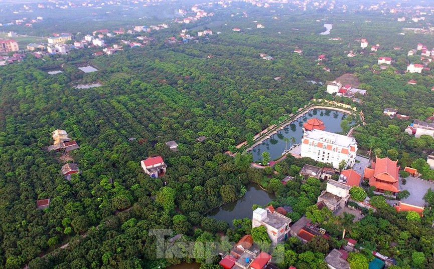 Thăm kinh đô nhãn lồng nức tiếng ngàn xưa - ảnh 11
