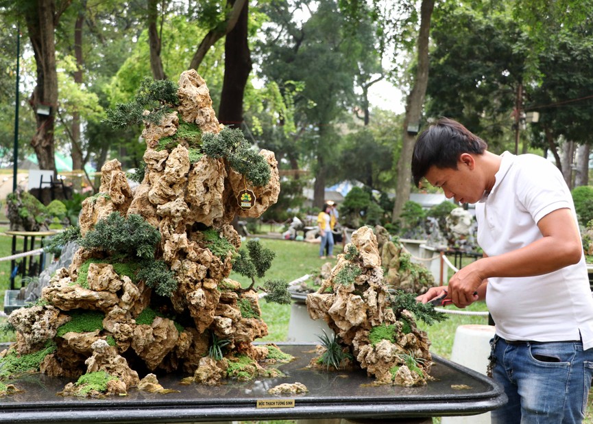 Mai vàng cổ thụ giá hàng trăm triệu đồng ở Sài Gòn - ảnh 11