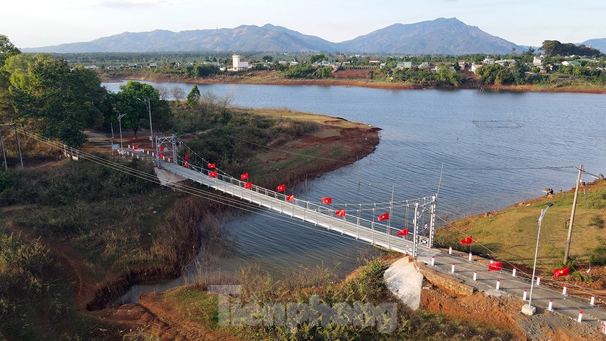 Hàng thông trăm tuổi, cầu treo, đồi chè xanh ngát trên cung đường Tiền Phong Marathon 2021 - ảnh 1