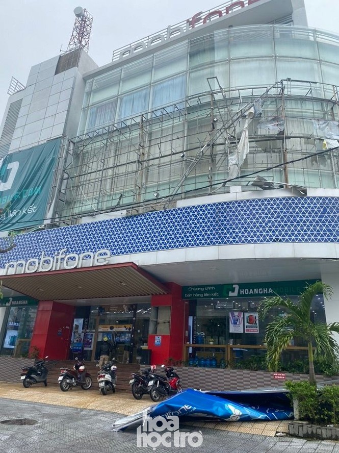 Thừa Thiên - Huế: Người dân thức trắng, “cụ” xà cừ ngã quỵ trước sự tấn công của bão số 13 - ảnh 2
