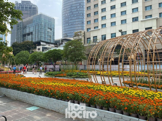 Đường hoa Nguyễn Huệ đẹp rực rỡ đón Tết Tân Sửu, đảm bảo quy tắc an toàn với du khách đến thăm - ảnh 6