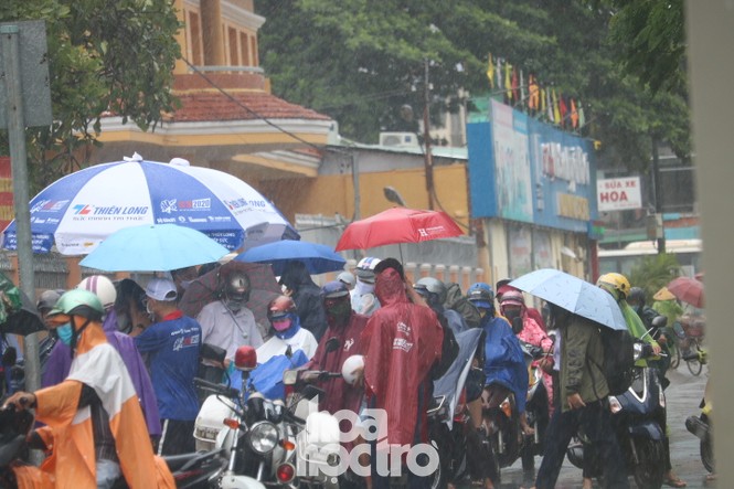 Ngày thi mưa rơi,