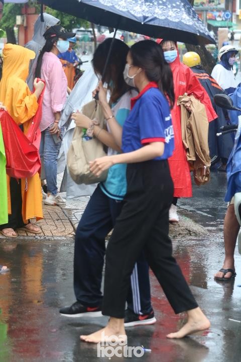 Ngày thi mưa rơi,