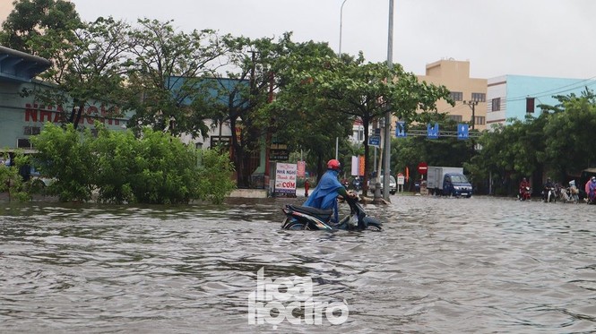 Đà Nẵng: Mưa như trút nước, đường phố thành sông, người dân vô tư bắt cá giữa đường - ảnh 1