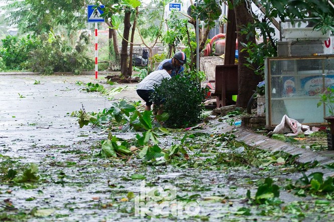 Đà Nẵng sau cơn cuồng phong bão số 9: Mỗi người một tay dọn dẹp cảnh ngổn ngang - ảnh 1